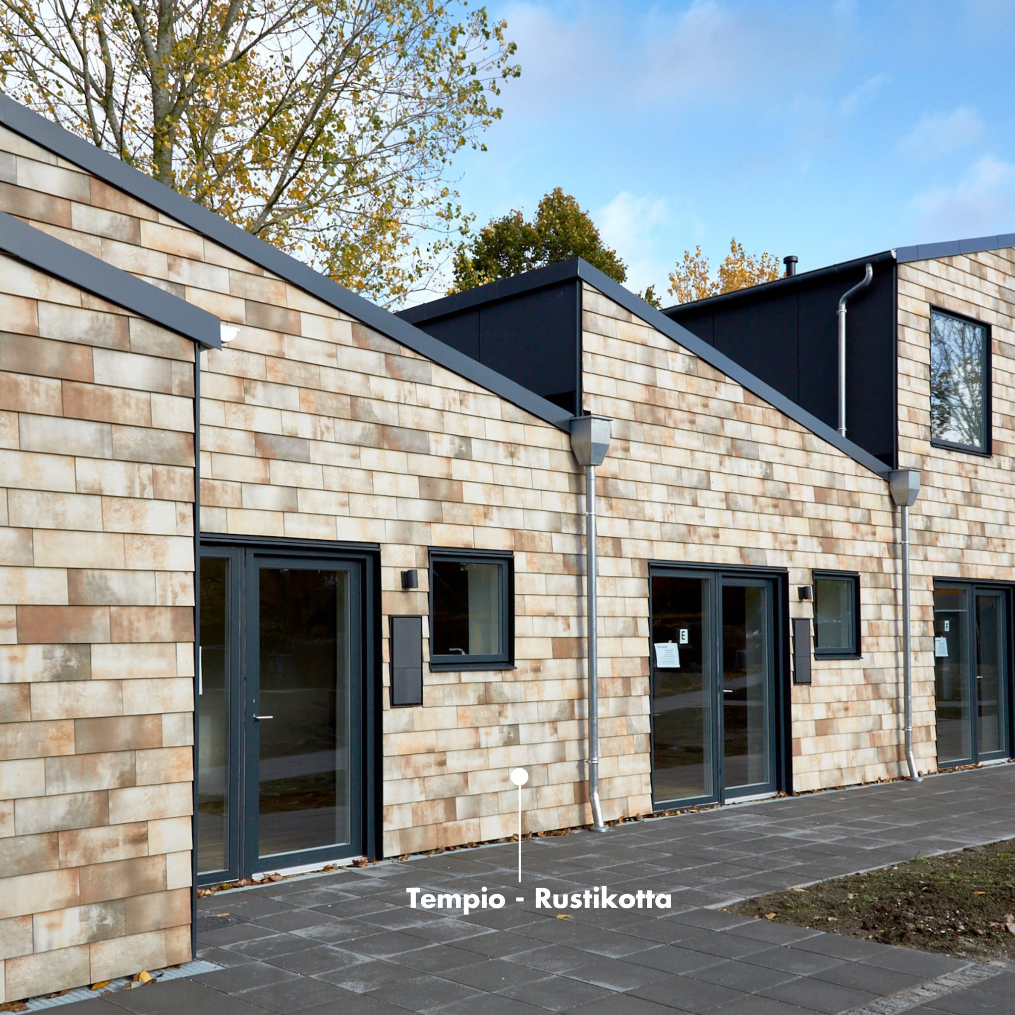 Tempio Rustikotta WHITE SPLATTER 200x400x14мм Дранка керамическая плитка для навесного вент Фасада и Кровли