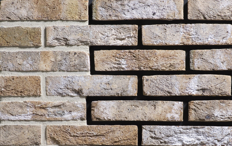 Carthago WF 209х101х50 мм, Кирпич ручной формовки Engels baksteen