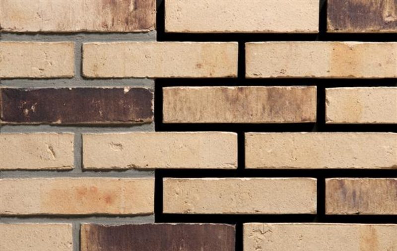 Thar WF 210х24х50 мм, Фасадная и Интерьерная Плитка ручной формовки под кирпич Engels baksteen