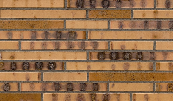 Кирпич облицовочный Клинкерный ригельный Langformat ABC 10061 St. Petersburg gelb Kohlebrand glatt DF 365*115*52 мм