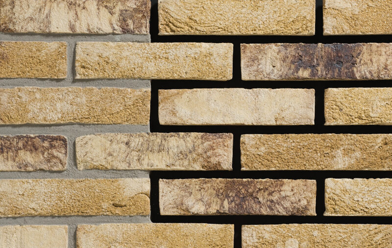 Tanganyika WF 209х101х50 мм, Кирпич ручной формовки Engels baksteen