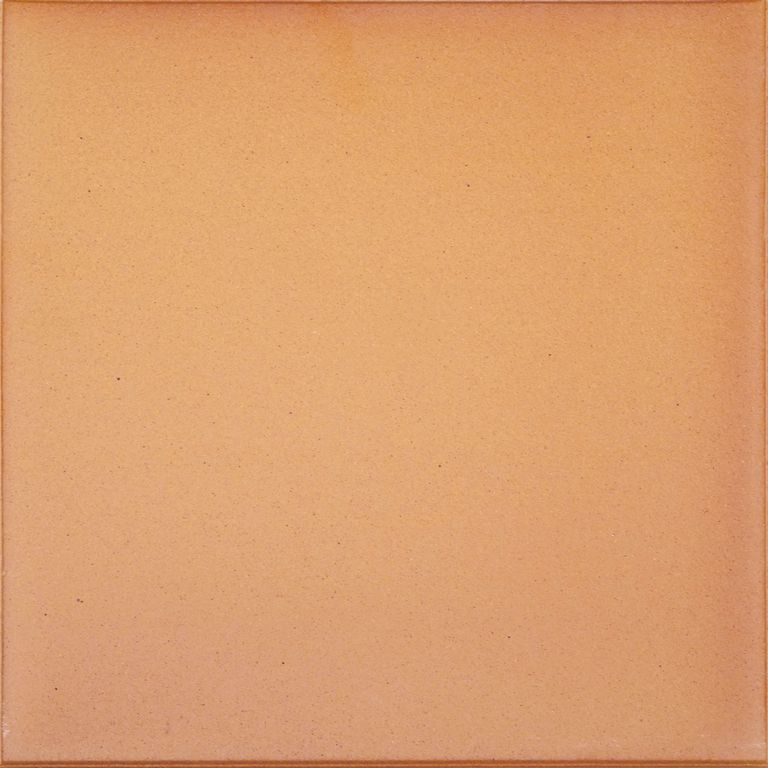 016 Terra 244*330*18 мм, клинкерная ступень флорентинер- с капиносом, противоскользящая