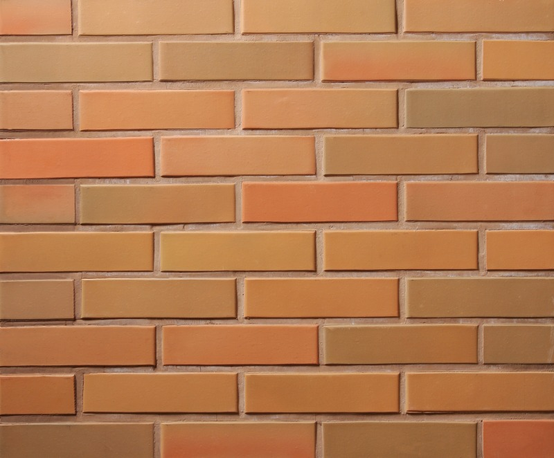 Lode RUDITE гладкий, 250*85*65 мм, Печной Кирпич керамический пустотелый, терракотовый пестрый