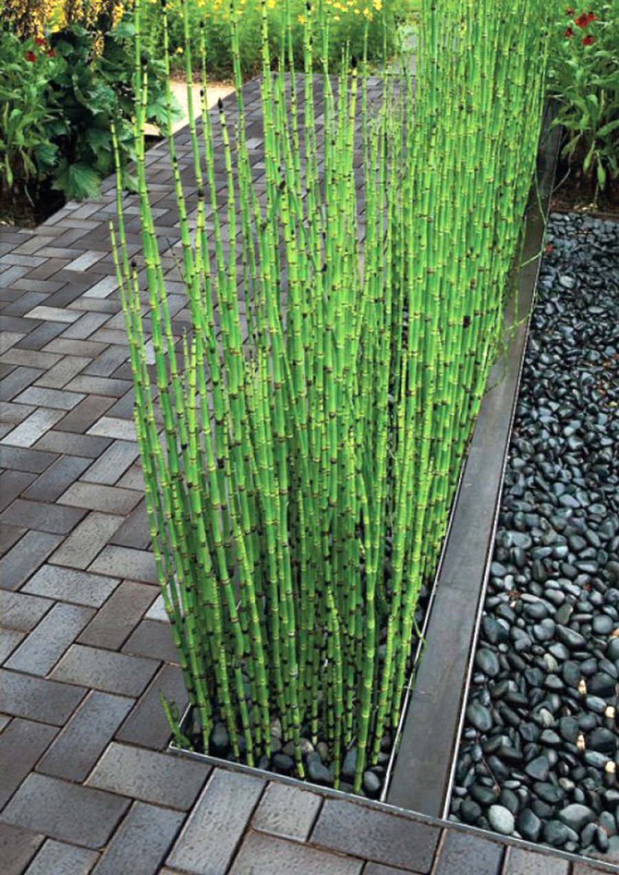 Тротуарная плитка / брусчатка Клинкерная ABC Potsdam (Потсдам) 200*100*52 мм