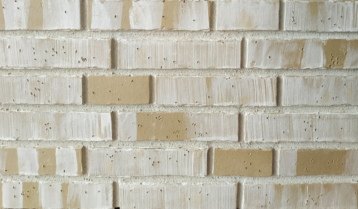 PRO-20-8 Клинкерная фасадная плитка под кирпич ral 1024 240x71x14 мм