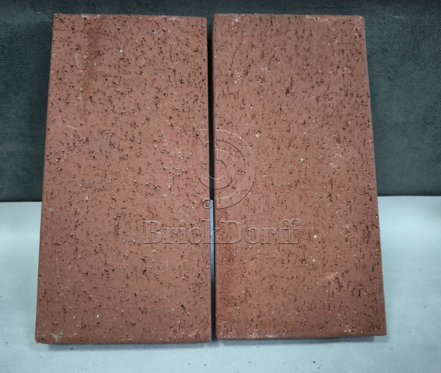 Тротуарная плитка клинкерная Red Ceramix, 200*100*16 мм