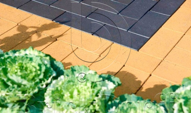 Тротуарная плитка / брусчатка Клинкерная желтая LHL klinker SAHARA 200*100*47 мм