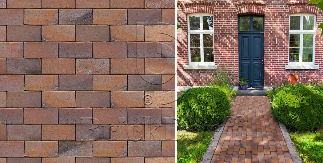 Тротуарная плитка / брусчатка Клинкерная ABC Carbo (Карбо) (rot-bunt-Kohlebrand), 200*100*52 мм