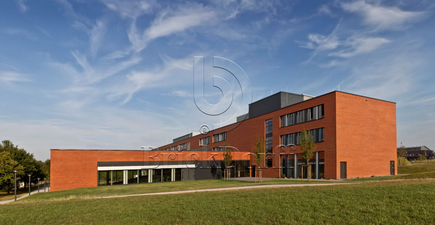 Кирпич облицовочный Клинкерный ригельный Langformat ABC 1009 Sonnenrot glatt DF 365*115*52 мм