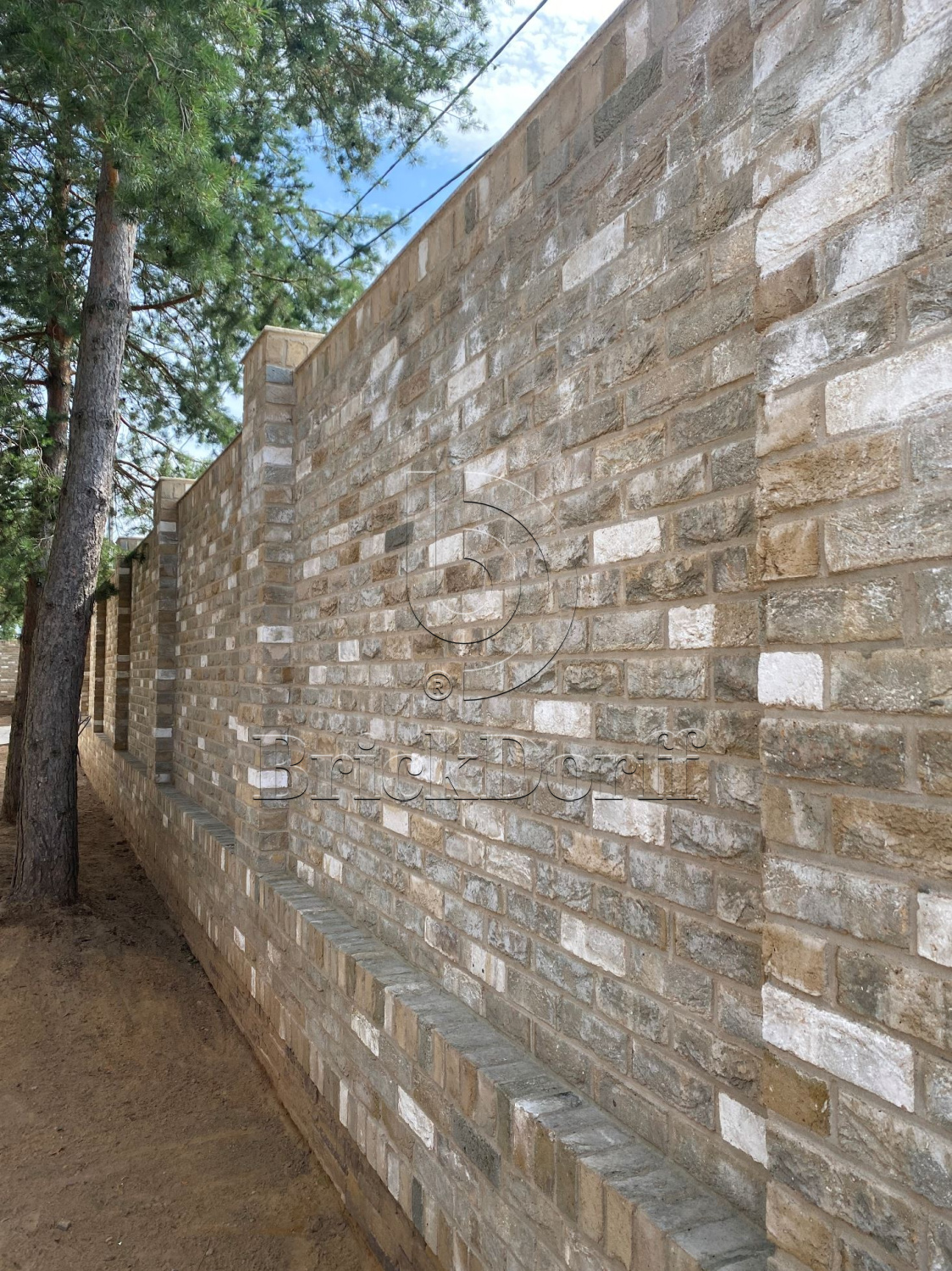 Carthago DF 214х103х66 мм, Кирпич ручной формовки Engels baksteen