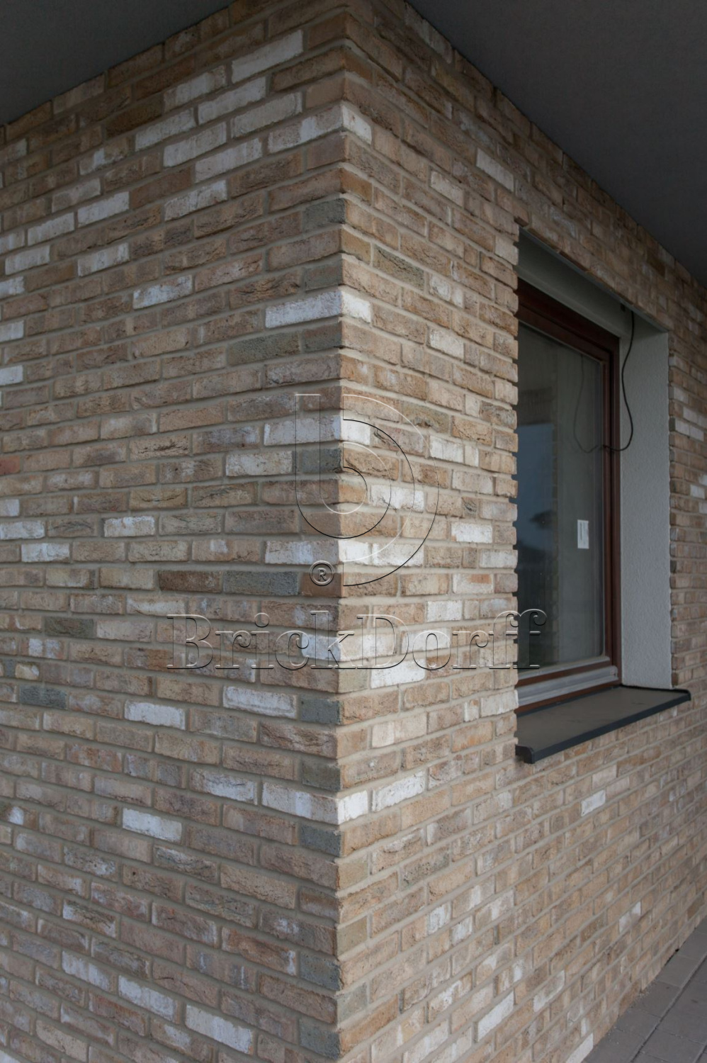 Mystique DF 214x103x66 мм, Кирпич ручной формовки Engels baksteen