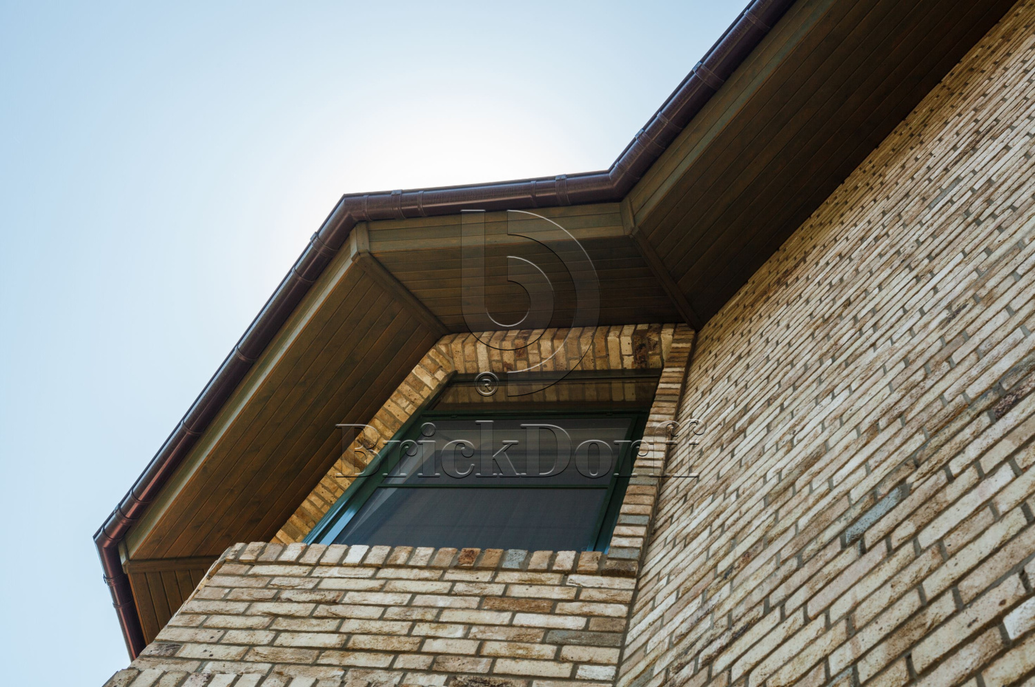 Canyon DF 214х103х66 мм, Кирпич ручной формовки Engels baksteen