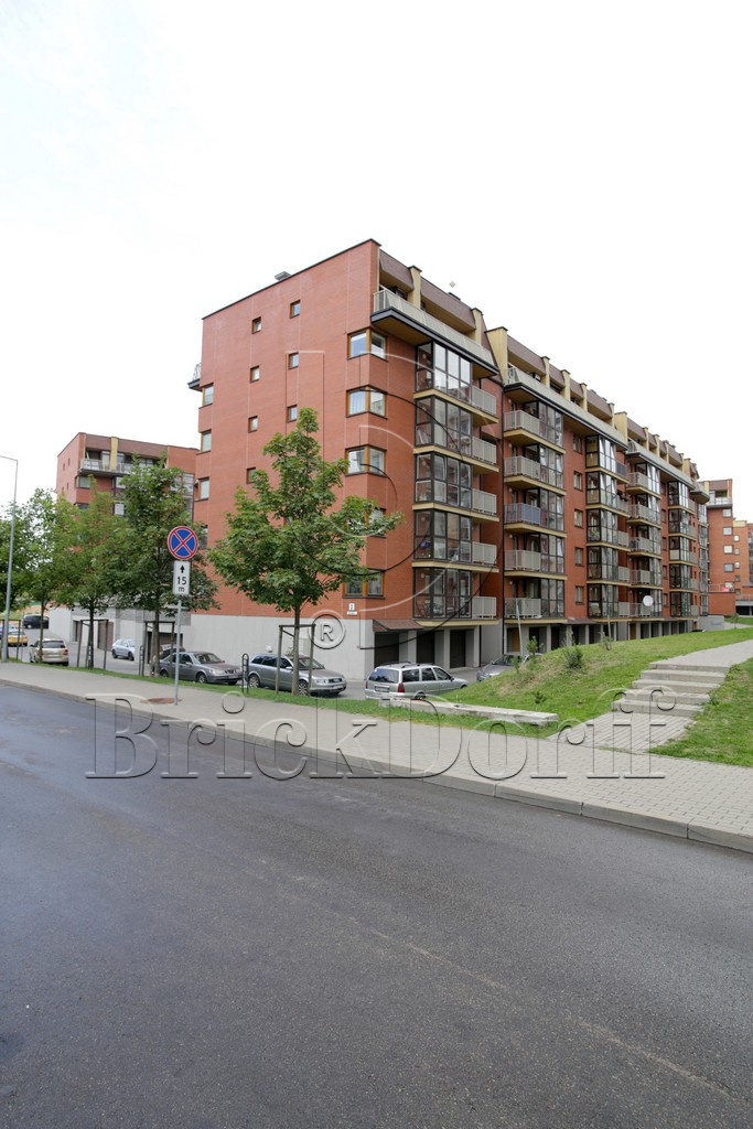 Кирпич клинкерный облицовочный красный, Lode Janka гладкий, 250*60*65 мм