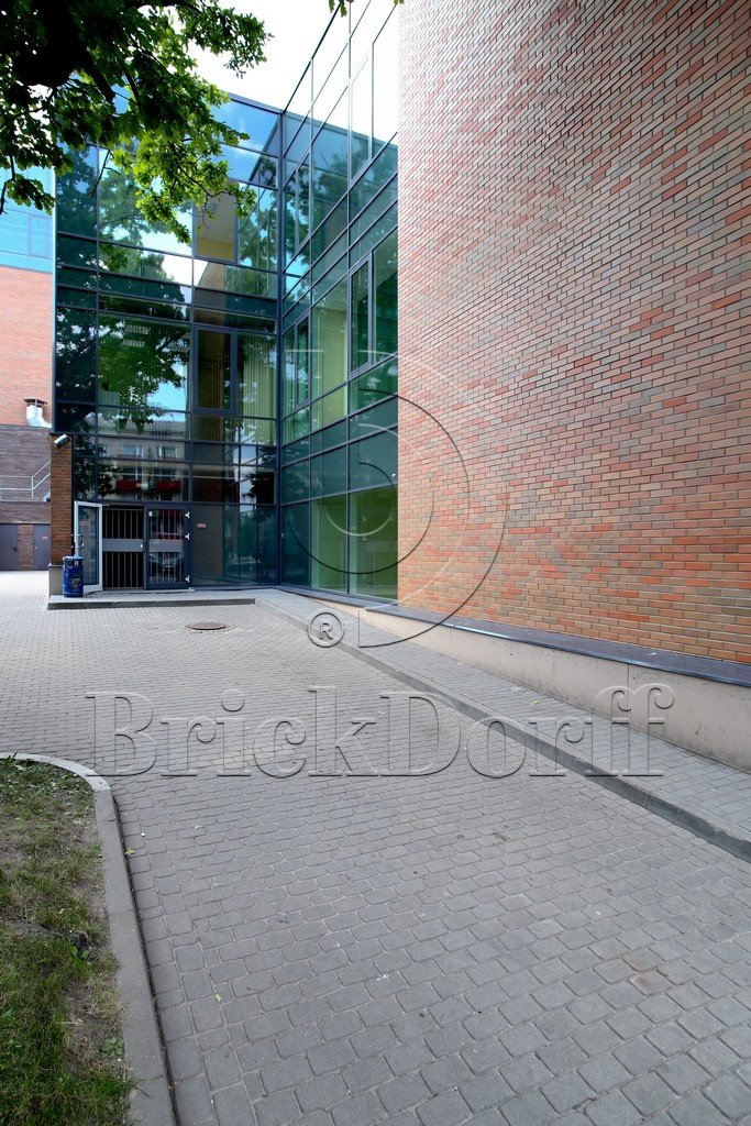 Кирпич клинкерный облицовочный пестрый, Lode RUDITE гладкий, 250*120*65 мм