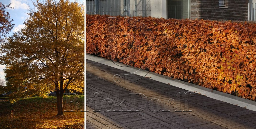 Тротуарная плитка / брусчатка Клинкерная ABC Schieferschwarz (Счиеферсчварз), 200*100*45 мм