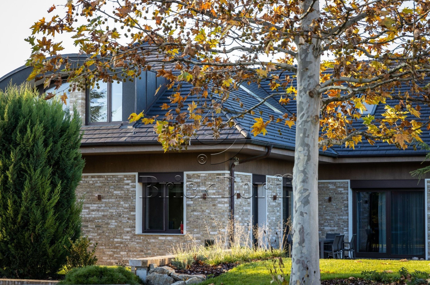 Mystique DF 214x103x66 мм, Кирпич ручной формовки Engels baksteen