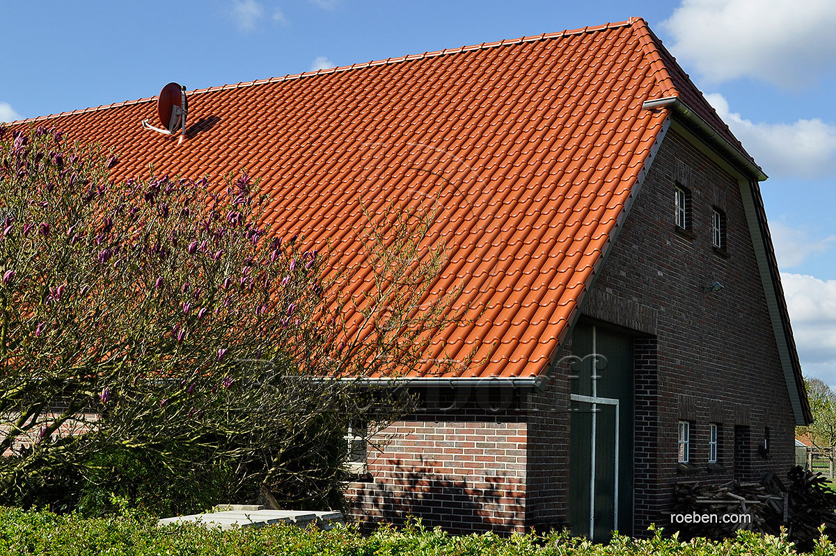 Керамическая черепица рядовая Roben Limburg красный ангоб