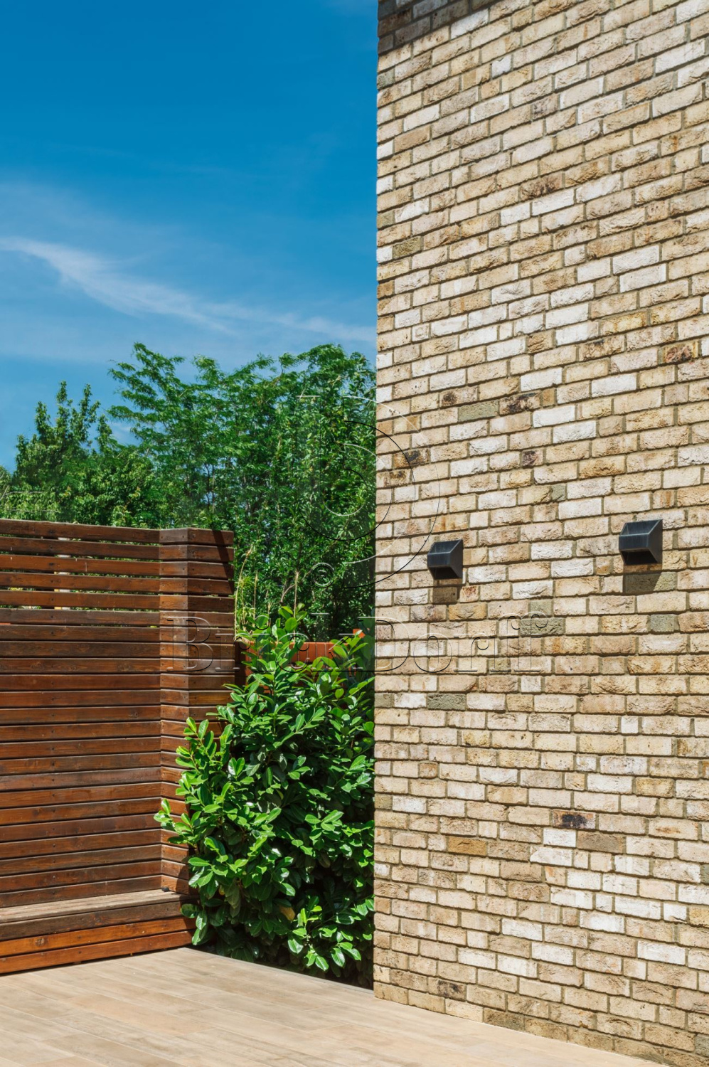 Canyon DF 214х103х66 мм, Кирпич ручной формовки Engels baksteen