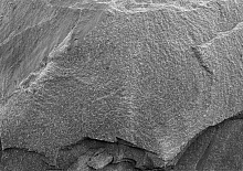 Цокольная, фасадная плитка из натурального камня - сланец,  ADW Коктебель №2 антрацит 400*200*10/20 мм