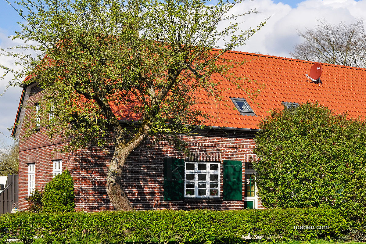 Керамическая черепица рядовая Roben Limburg красный ангоб