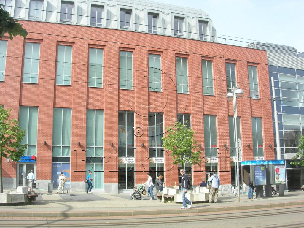 Клинкерная фасадная плитка облицовочная под кирпич Stroeher (Штроер) Keravette Chromatic 215 patrizienrot гладкая DF8, 240*52*8 мм