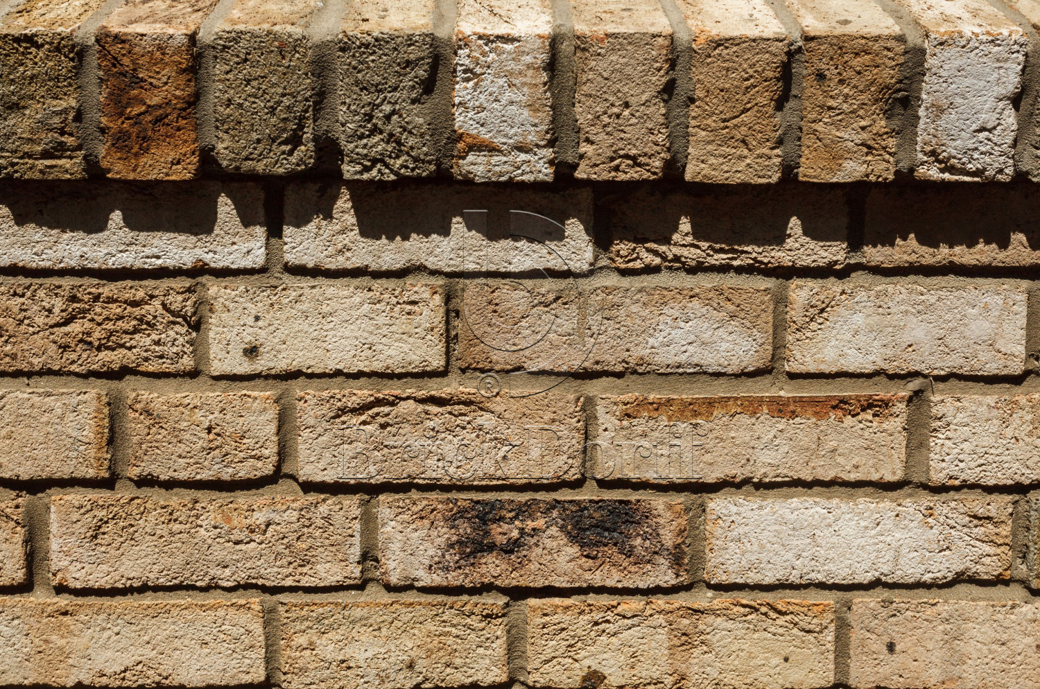 Canyon DF 214х103х66 мм, Кирпич ручной формовки Engels baksteen