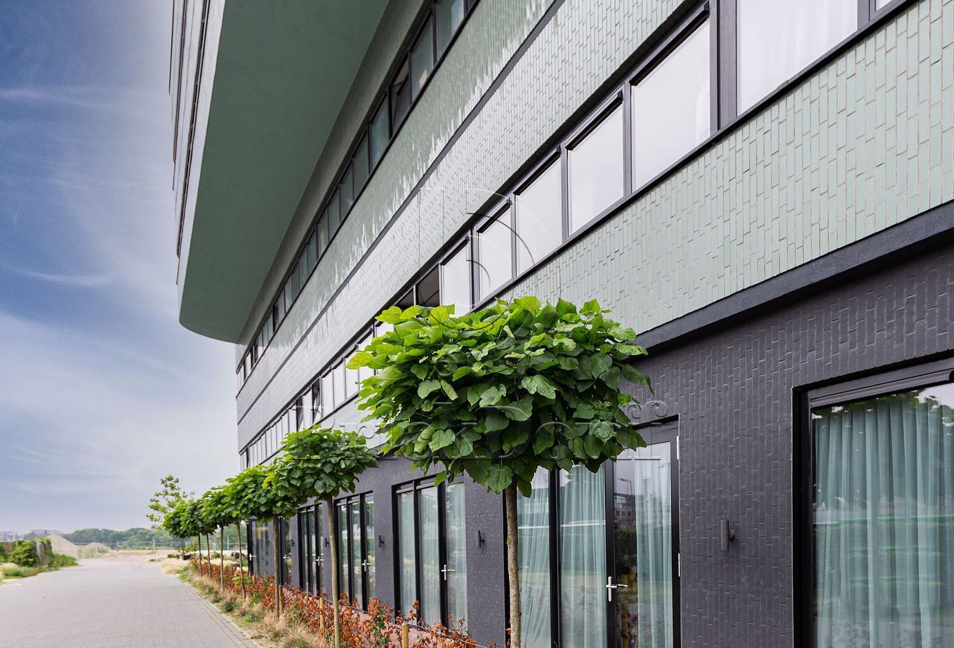 №16 Глазурованная Фасадная плитка Клинкерная облицовочная под кирпич 283х84х13,5 мм цвет бирюзовый RAL