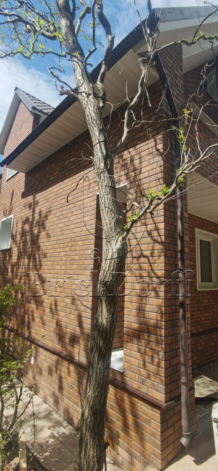 Retro Chili 245х65х8,5 мм клинкерная плитка под кирпич для фасада и цоколя