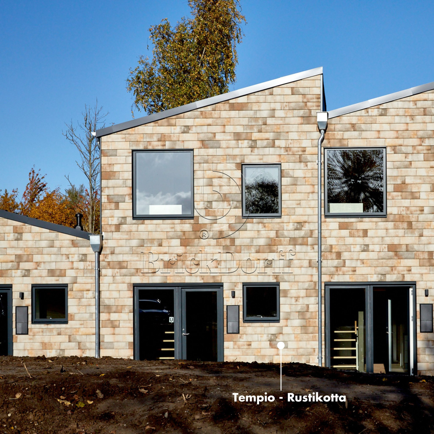 Tempio Rustikotta WHITE SPLATTER 200x400x14мм Дранка керамическая плитка для навесного вент Фасада и Кровли