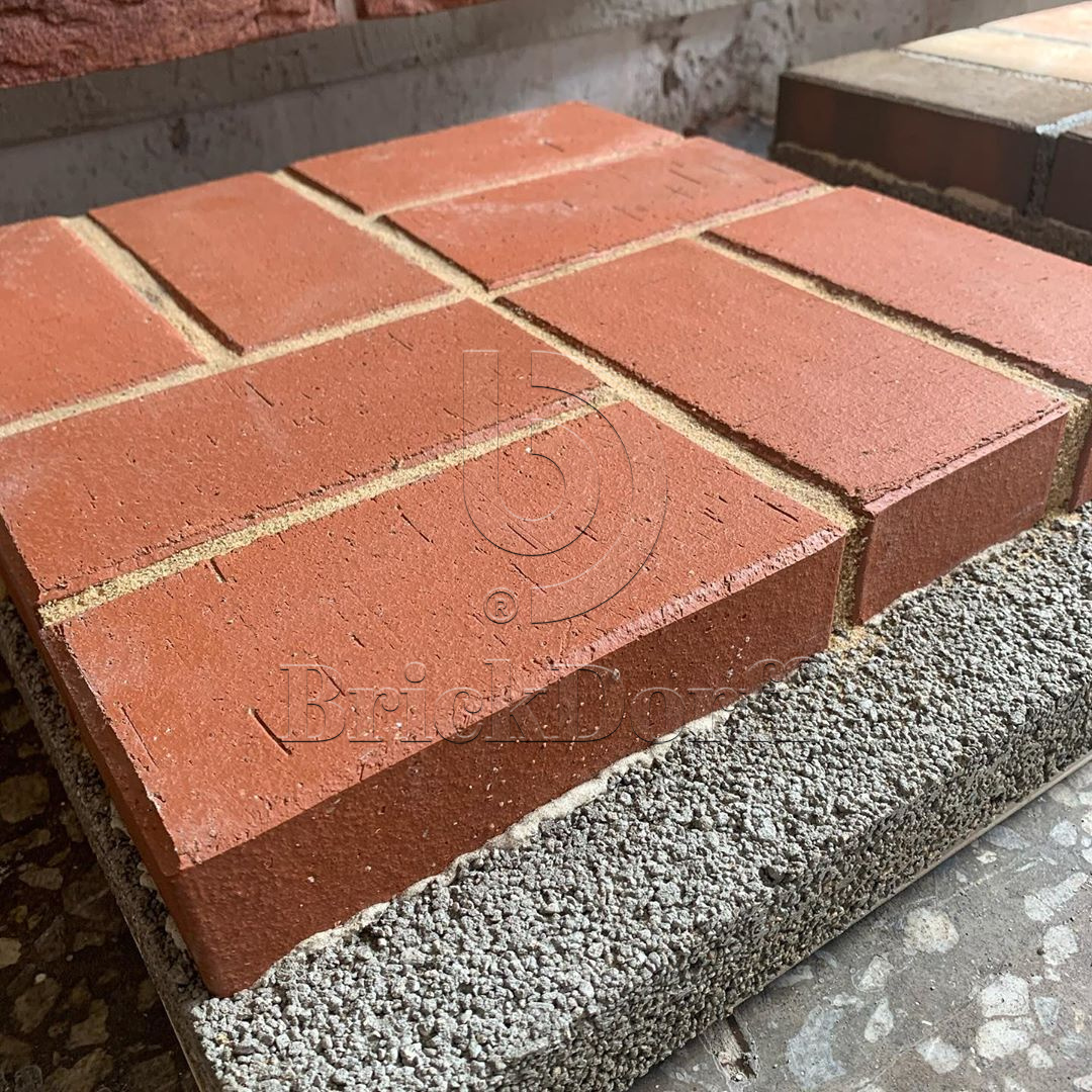 Тротуарная плитка / брусчатка Клинкерная ЛСР (RAUF Design) красный "Лондон" 200*100*50 мм