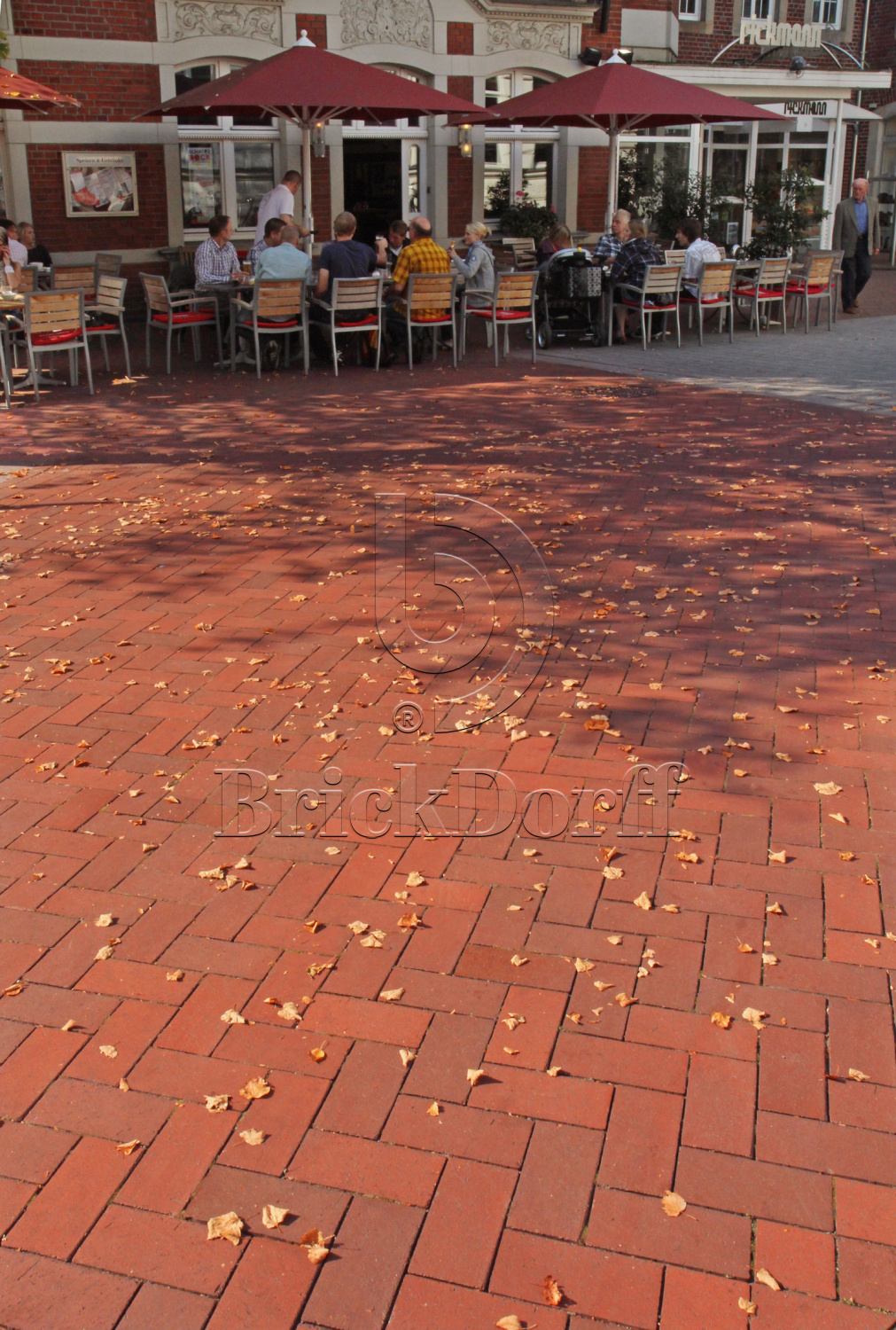 Тротуарная плитка / брусчатка Клинкерная ABC Altfarben-bunt-geflammt (Алтфарбен-бунт-гефламмт), 200*100*52 мм