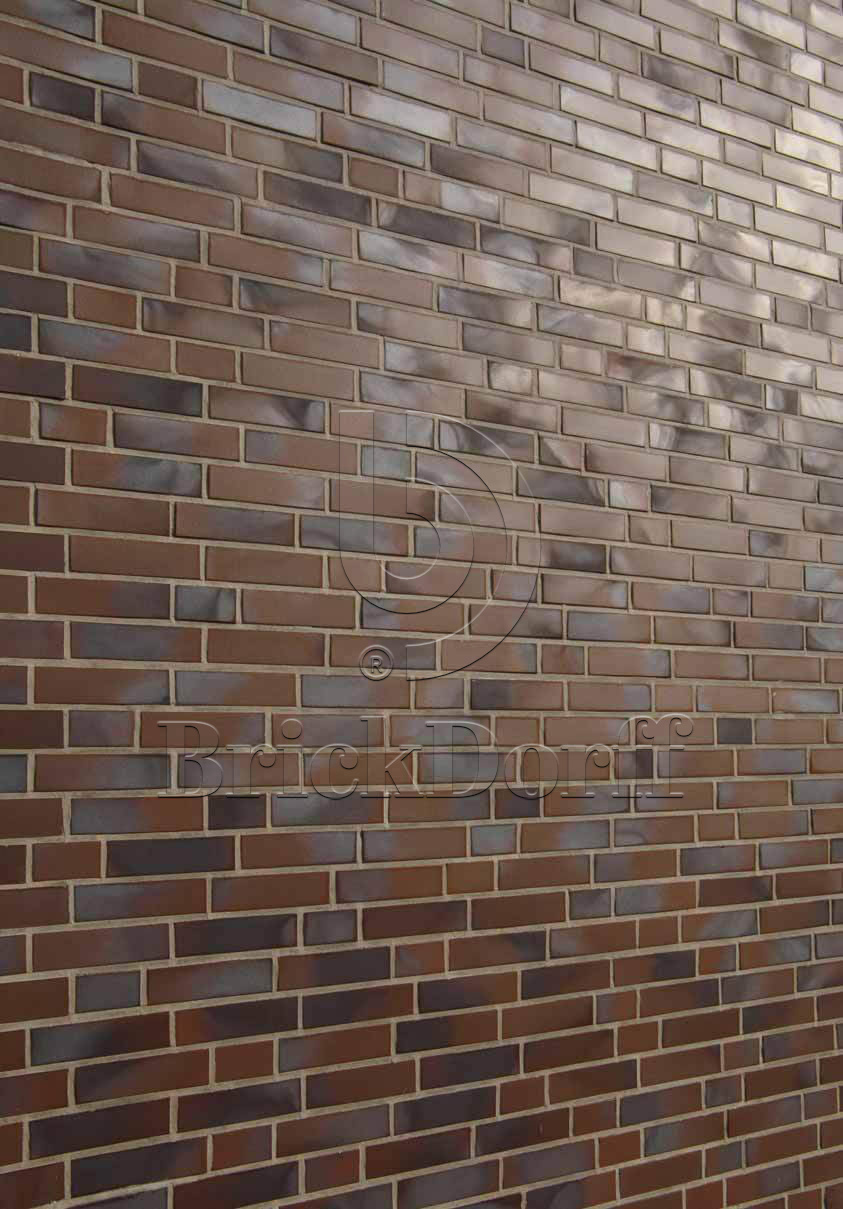 Фасадная Термопанель из пенополистирола ППС 60 мм с клинкерной плиткой Baltrum glatt 240*71*10 мм