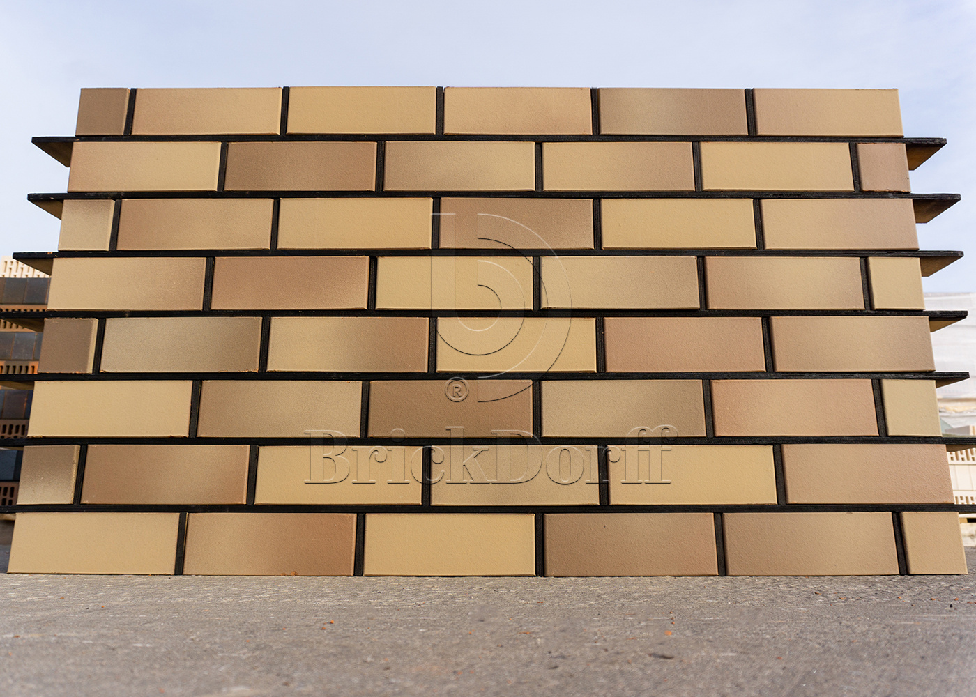 КГ Latte Premium 1НФ 250*120*65 песочный кирпич лицевой облицовочный керамический пустотелый