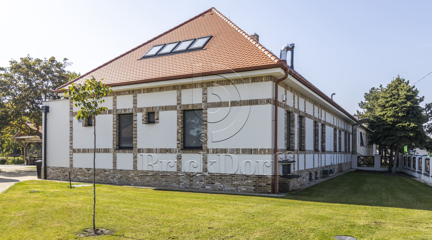 Barnsteen DF 214х103х66 мм, Кирпич ручной формовки Engels baksteen