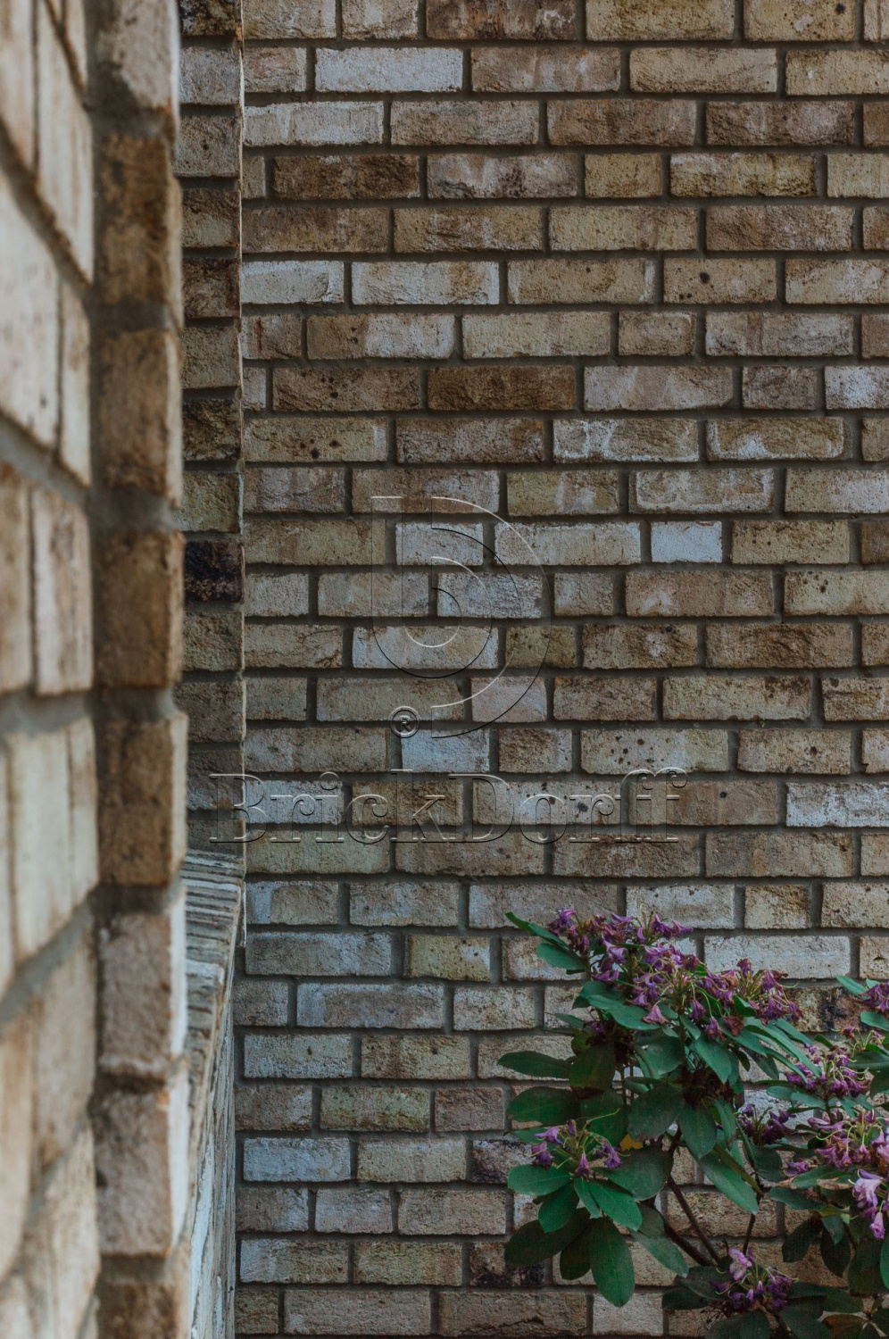 Canyon DF 214х103х66 мм, Кирпич ручной формовки Engels baksteen