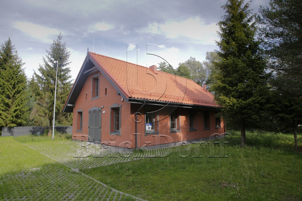 Кирпич клинкерный облицовочный красный, Lode SKARBAIS JANKA штриховая, 250*120*65 мм