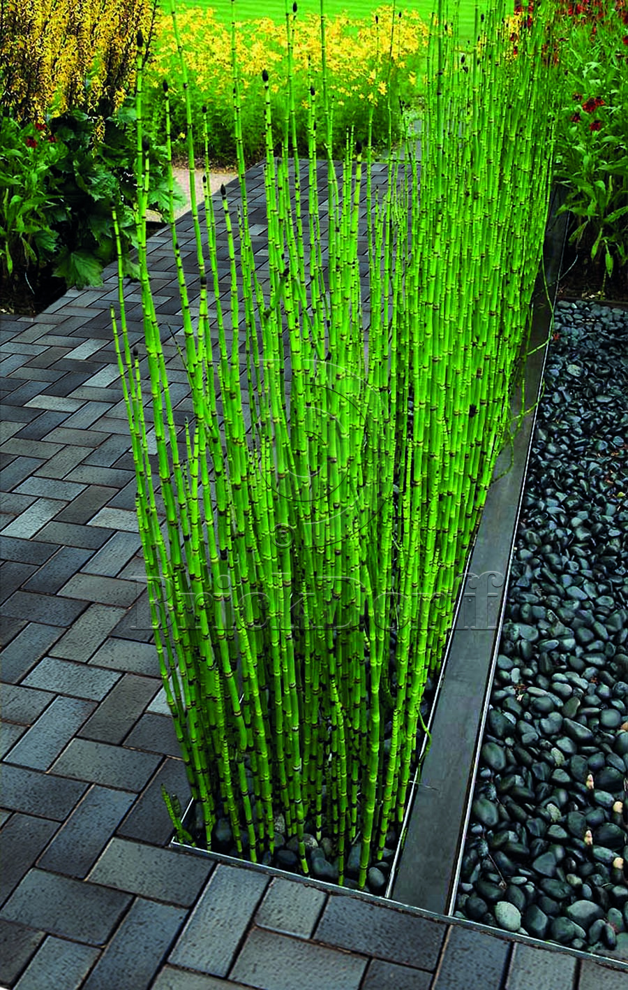 Тротуарная плитка / брусчатка Клинкерная ABC Lubeck (Лубек) 200*100*52 мм