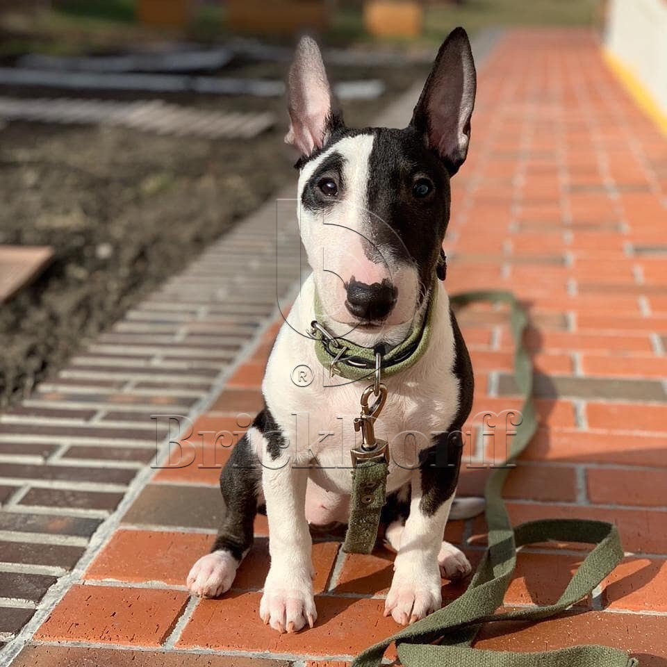 Тротуарная плитка / брусчатка Клинкерная ЛСР (RAUF Design) красный "Лондон" 200*100*50 мм