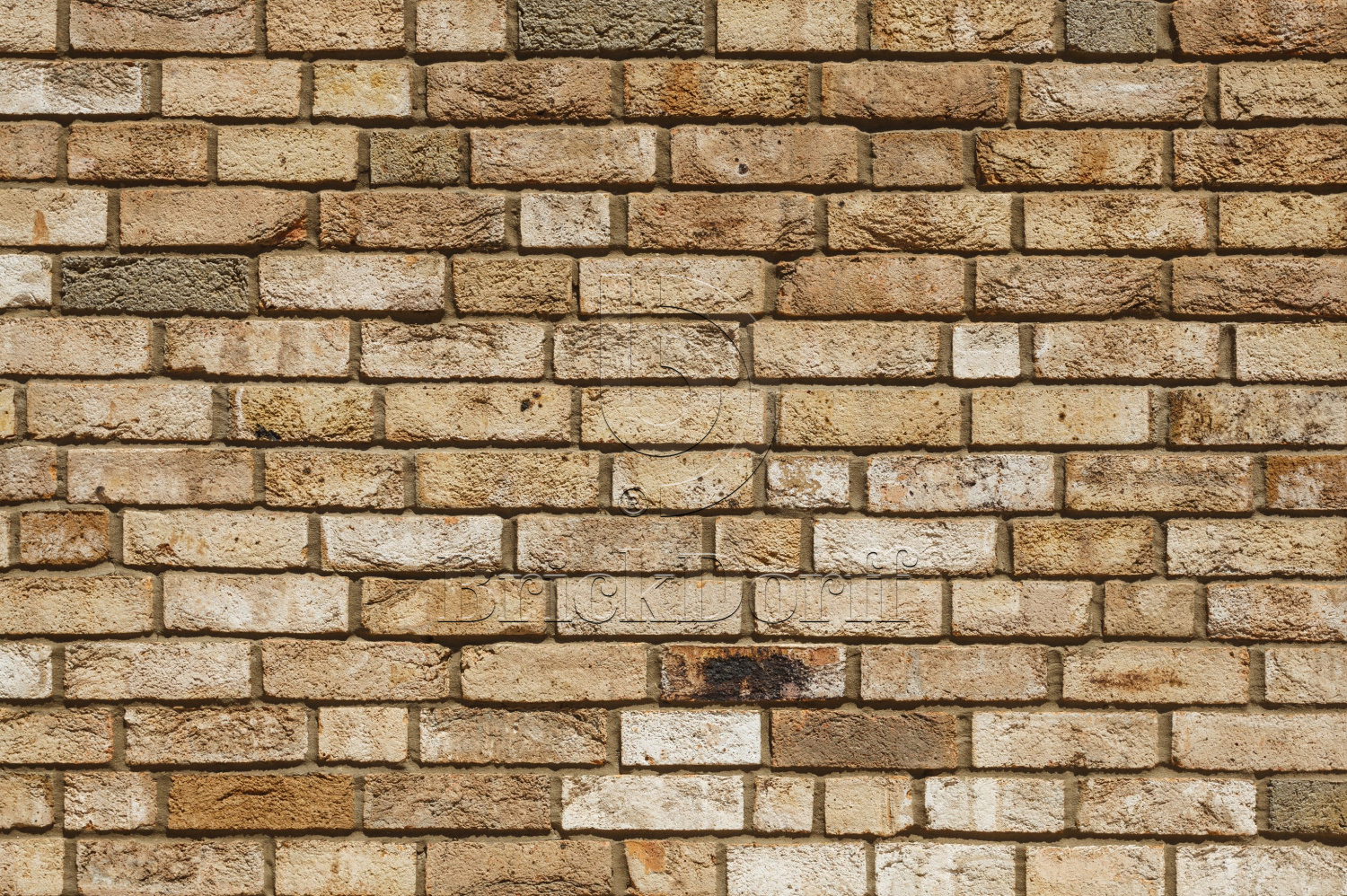 Canyon DF 214х103х66 мм, Кирпич ручной формовки Engels baksteen