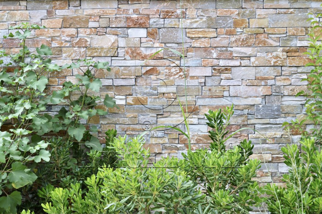 Камень грубый кварцит бежевый 550*200*20\40 мм, натуральный камень для фасада и интерьера BD