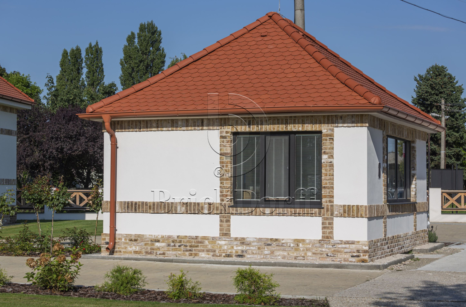 Barnsteen DF 214х103х66 мм, Кирпич ручной формовки Engels baksteen