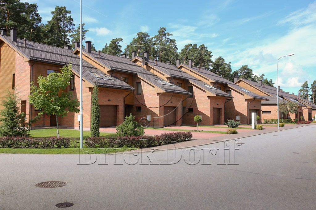 Кирпич клинкерный облицовочный пестрый, Lode RUDITE гладкий, 250*120*65 мм