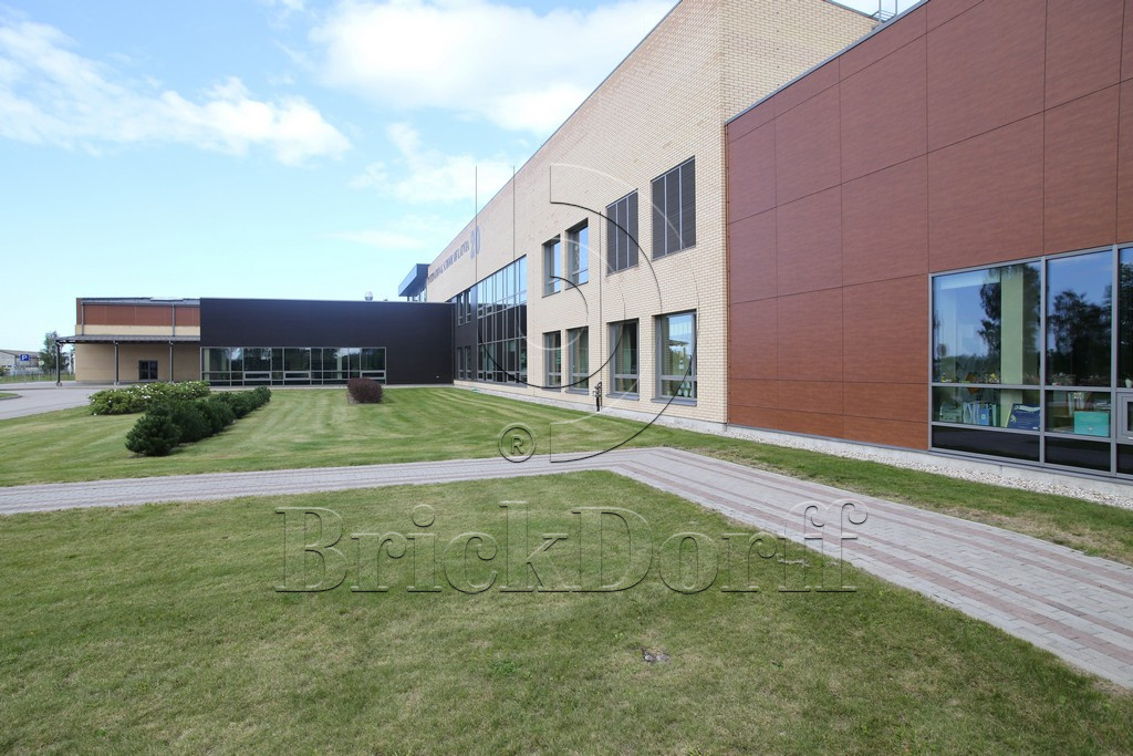 Кирпич клинкерный облицовочный желтый, Lode SARMITE гладкий, 250*85*65 мм