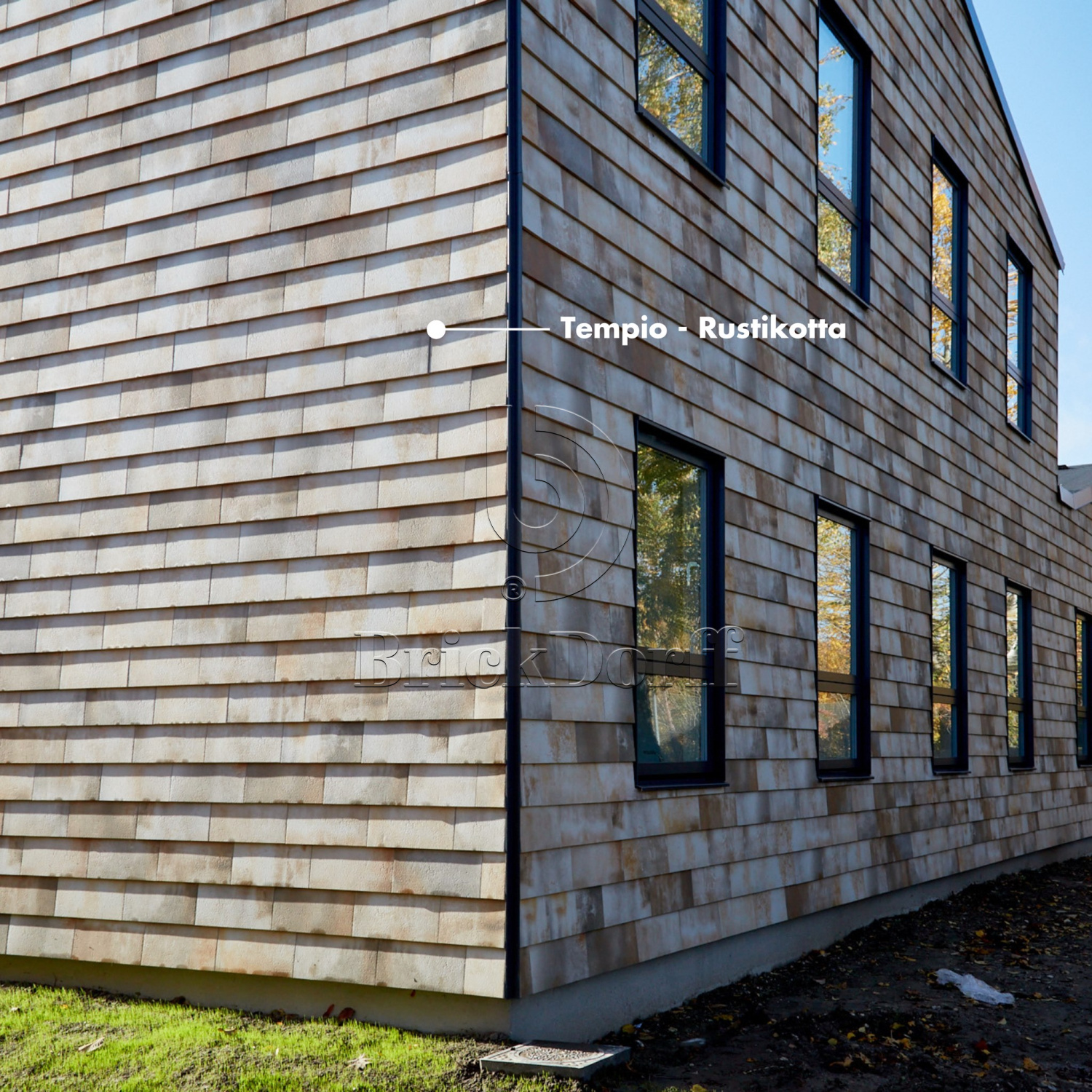 Tempio Rustikotta WHITE SPLATTER 200x400x14мм Дранка керамическая плитка для навесного вент Фасада и Кровли